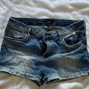 Stylish Distressed Blue Jean Shorts for Women